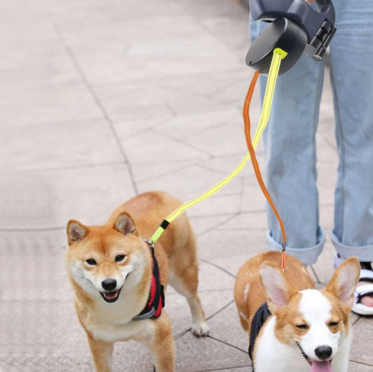 BrightWalk Duo Dog Leash